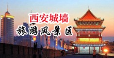 黑人大鸡巴操逼抽插视频中国陕西-西安城墙旅游风景区