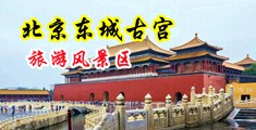 欧肥胖黑丝性爱中国北京-东城古宫旅游风景区