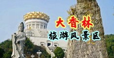 大鸡巴操嫰逼中国浙江-绍兴大香林旅游风景区